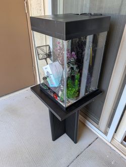Aquarium 10 gallons