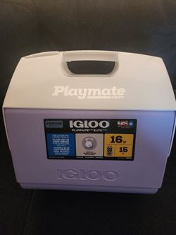 Brand new Igloo cooler