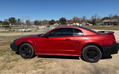2002 Mustang