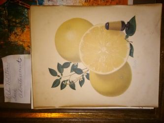 Old Morton salt advertisement