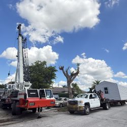 Casitas De Patio Rv Container Sheds