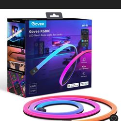 Govee RGBIC LED Rope Light for Desks
