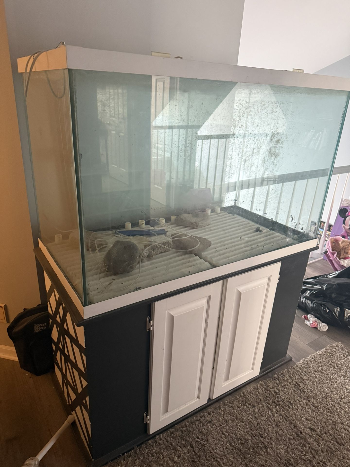 100 Gallon Fish Tank And Stand