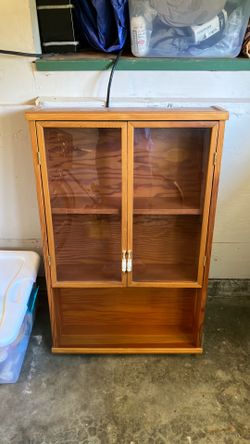 Bathroom/curio cabinet
