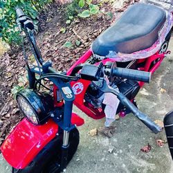 Gas Powered Mini Bike 