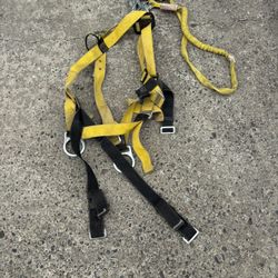 Safety Harness