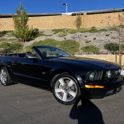 GT Convertible Mustang