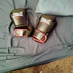 Everlast Boxing Gloves 