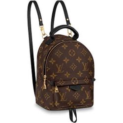 LV Palm Springs Mini