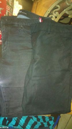 Black pants