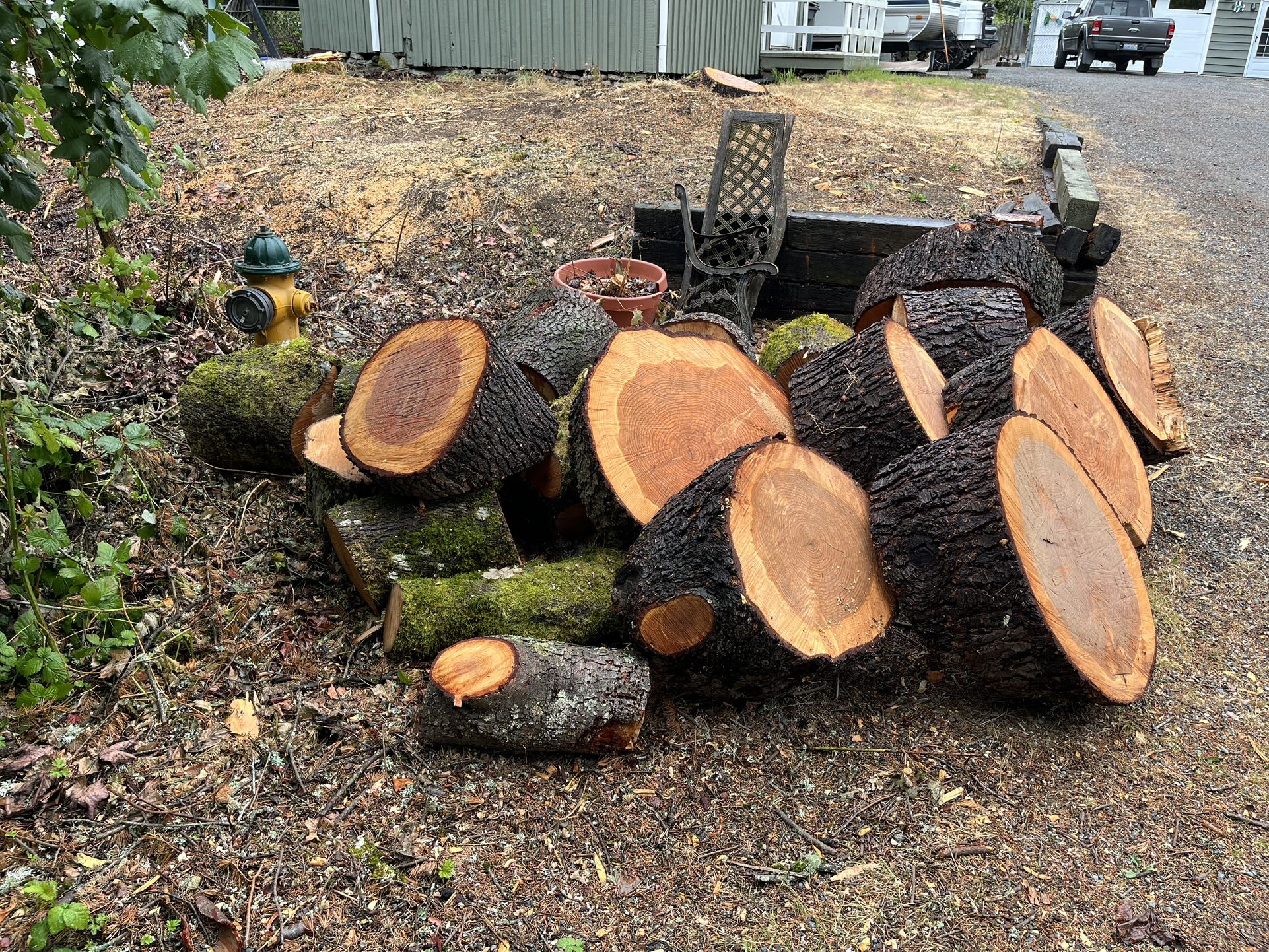 Free Wood