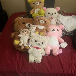 My Entire Sanrio Rilakumma Collection 