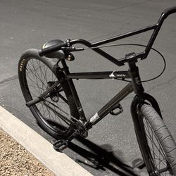 Framed 29er wheelie bike