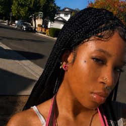 Braided Glueless Wig 
