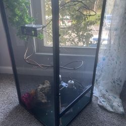 Screened Chameleon Terrarium (all Items Included)