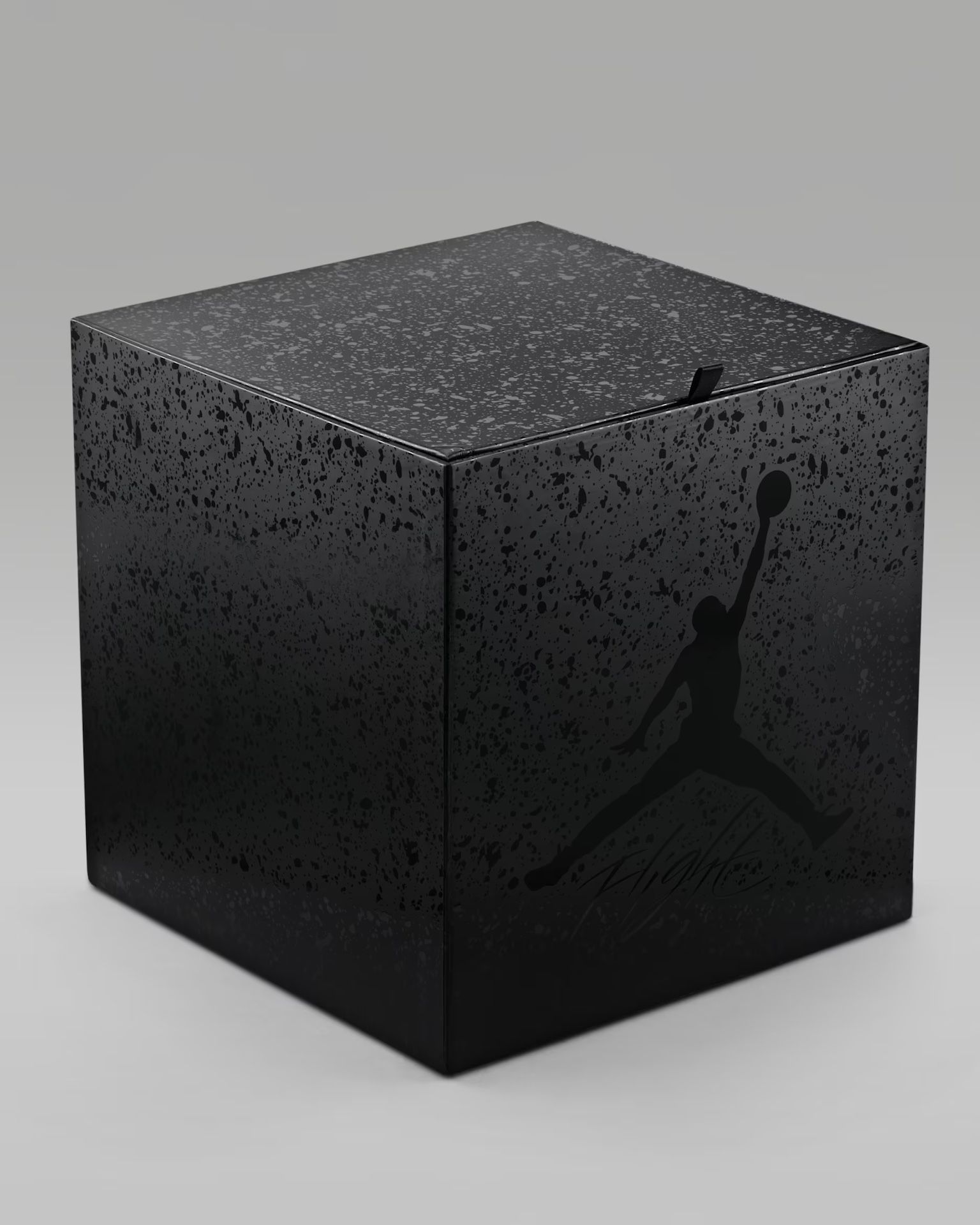 Jordan black cat basketball