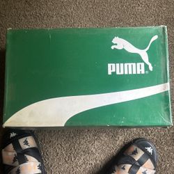 Puma’s 