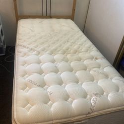 Ortho Plush Twin Size Mattress W/ Bed Frame Included