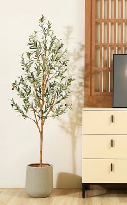 5 ft tree