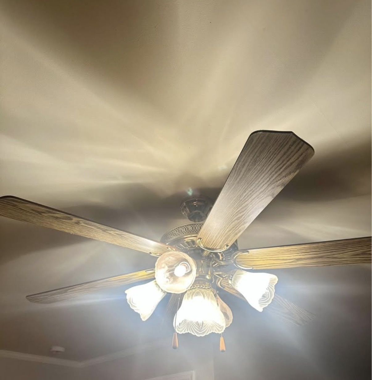 Ceiling Fan 