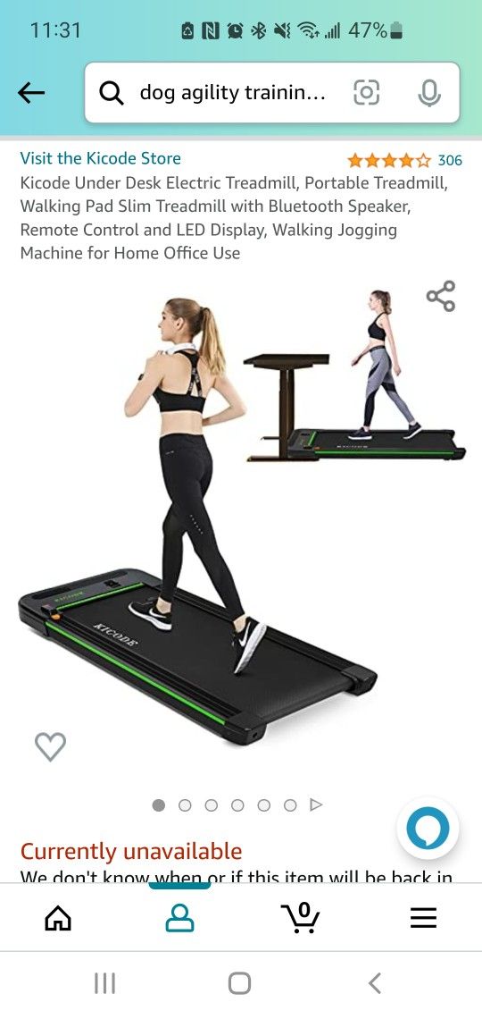 Walking Pad / Treadmill