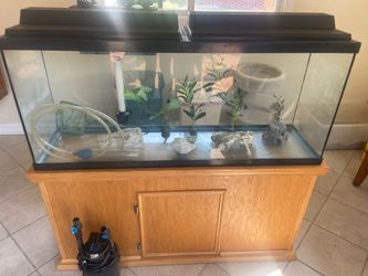 55 gallon fish tank with stand