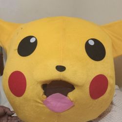 Pokémon Costume (Adult) (Normal Use)