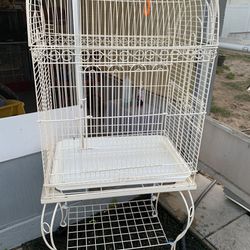 Bird cage 