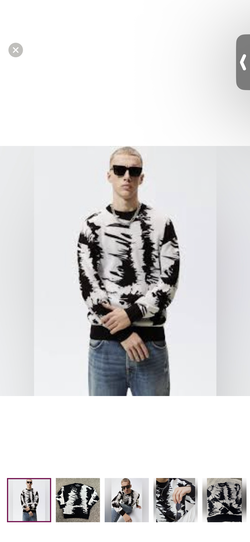 Men’s Zara Sweater