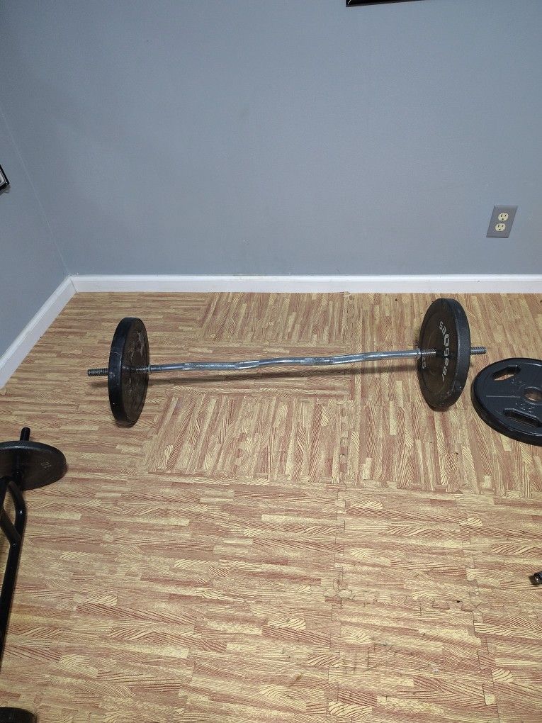 Preacher Bar With Two 25 Lbs Weights