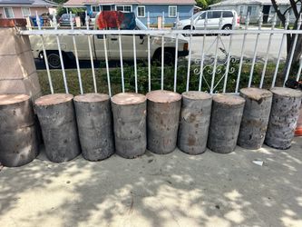 Palm Tree Stumps