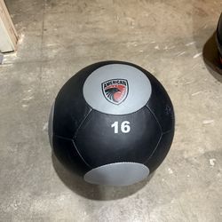 16 lb wall ball