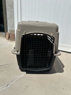 Large Dog Kennel
