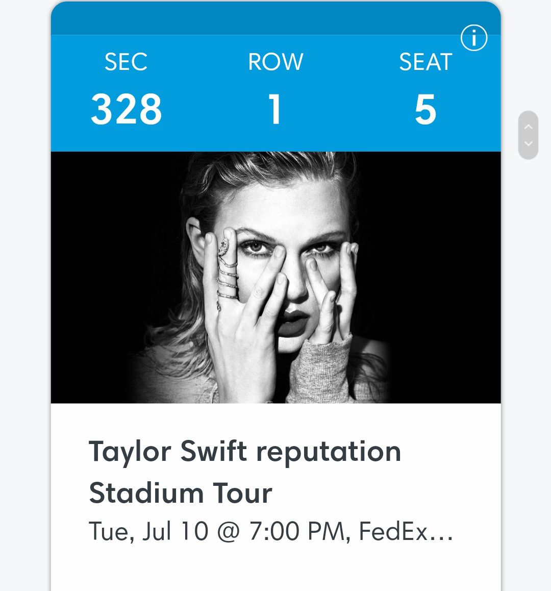 Taylor Swift Reputation Stadium Concert!