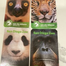 Zoo Admission – 50% Off Entrance