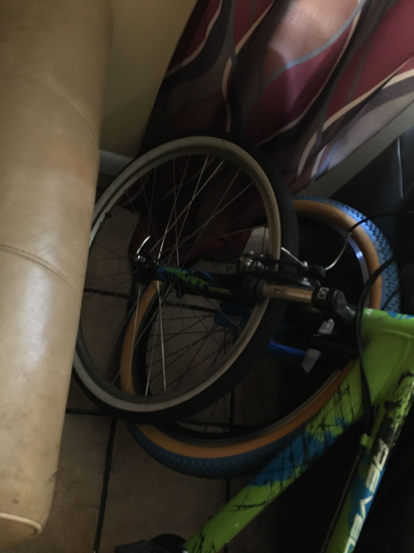 Giant bike