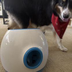 iFetch Ball Matching