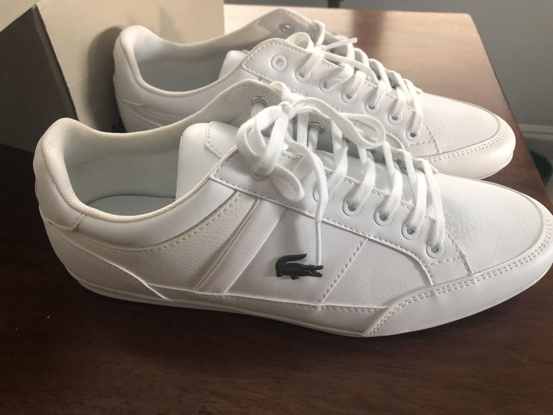 New Lacoste Chaymon Sneakers Size