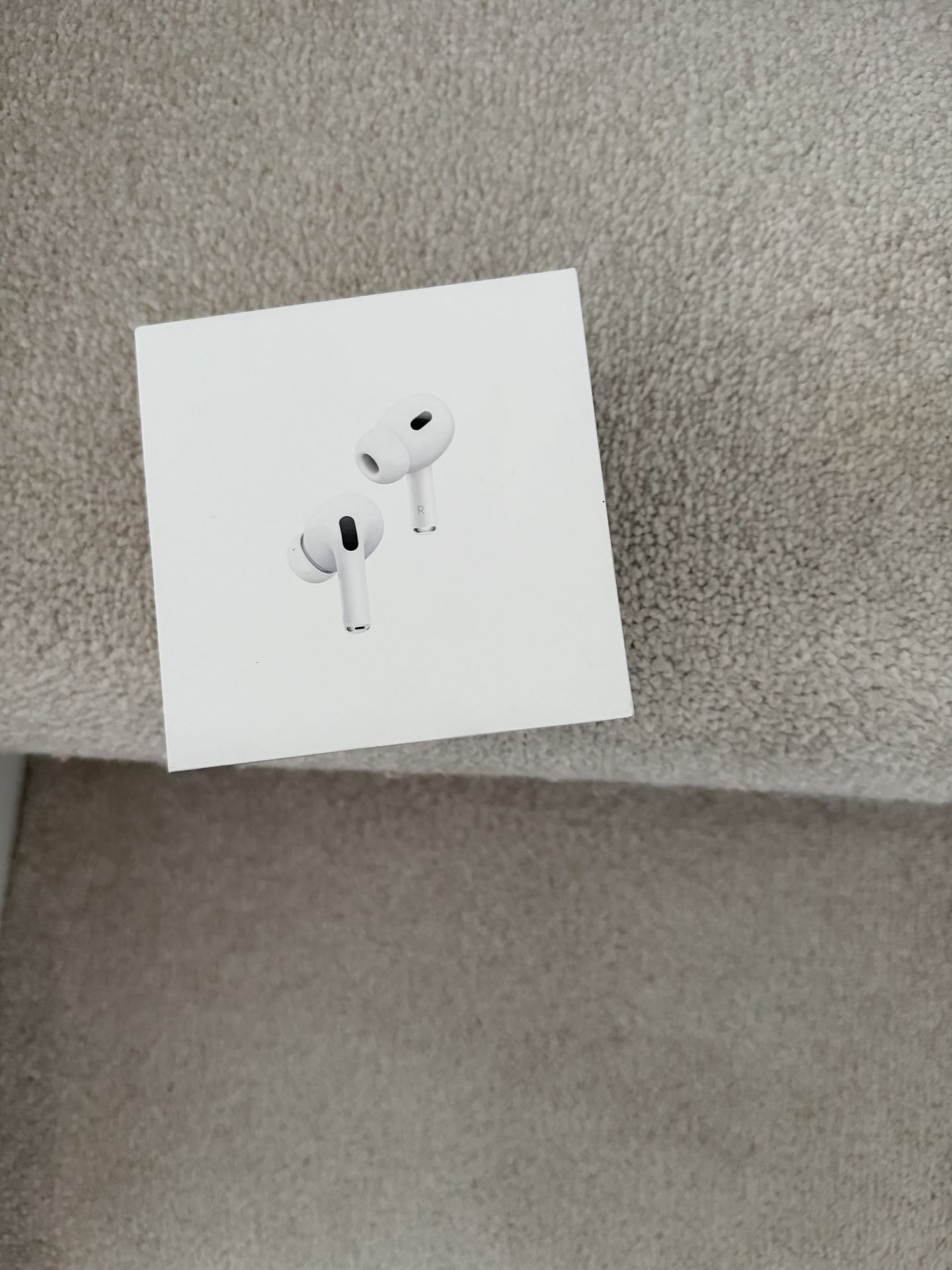 Apple Earbud Case And Buds