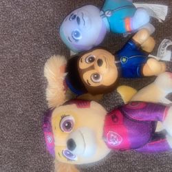 Paw Patrol