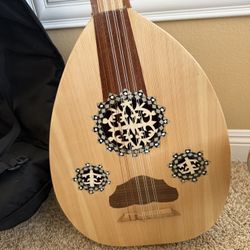 Professional Arabic  Oud OUDE EA5  Sizes  Bridge To Nut: 60 cm Bowl: 51cm Width: 38cm  , Fabric Case