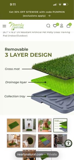 Indoor pet grass