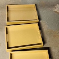 3 Trays With Handles For $40