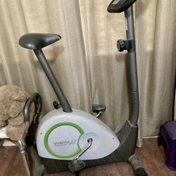 Weslo Exercise Bike