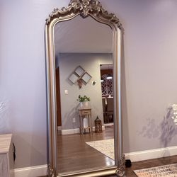 Antique champagne color solid wood floor mirror -