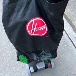 $100 Hoover Carpet Cleaner Power Scrub Delux 