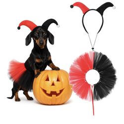 Dog Halloween Costume 
