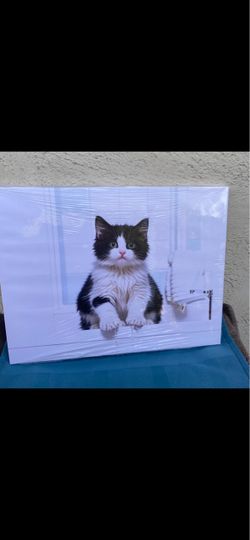 Black and White Cat Canvas Wall Art