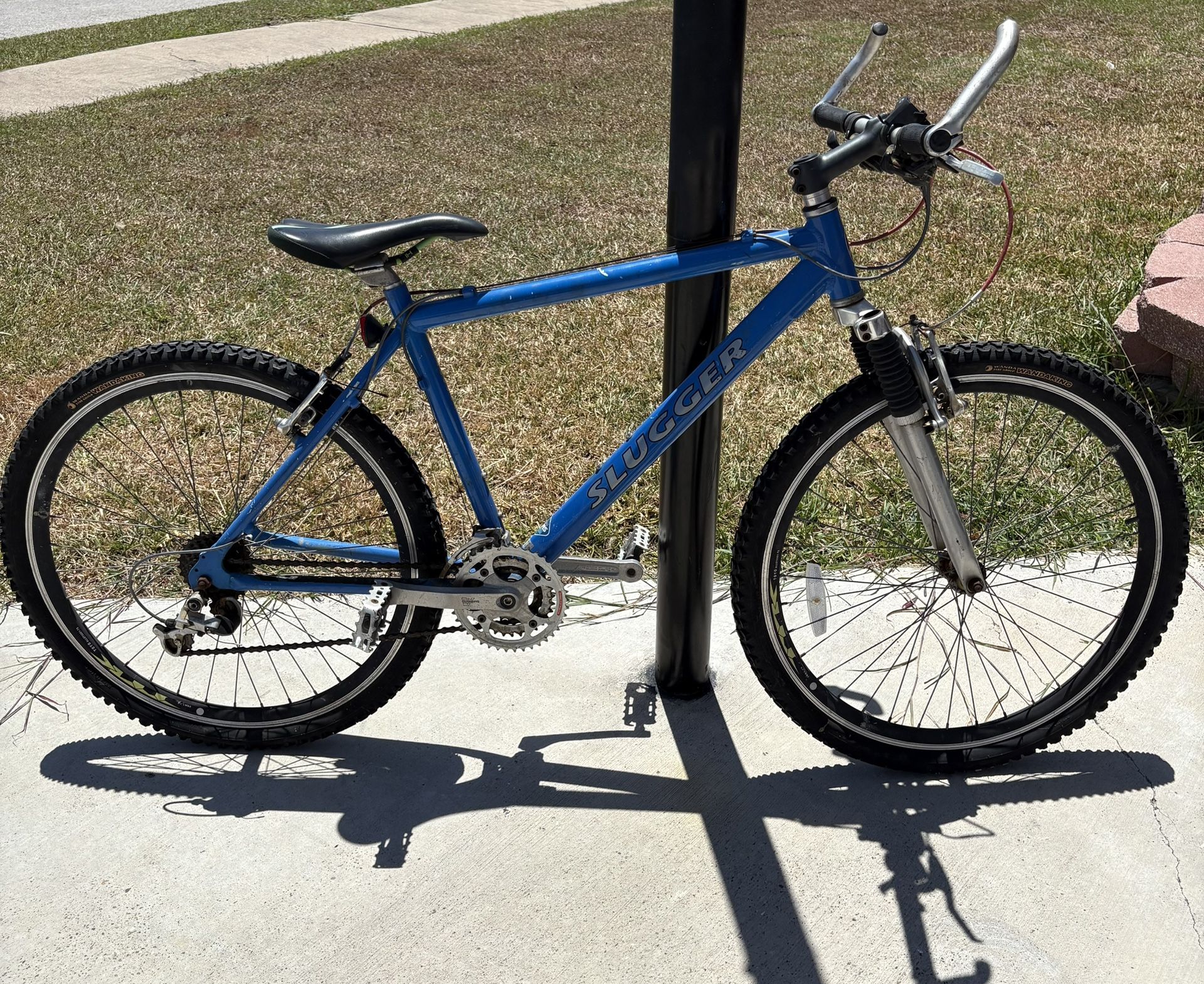 Blue Slugger Mountain Bike