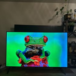 48” LG 4K OLED EVO 